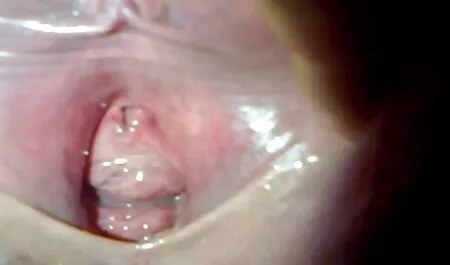 Ángeles peliculas para adultos xxx español azules