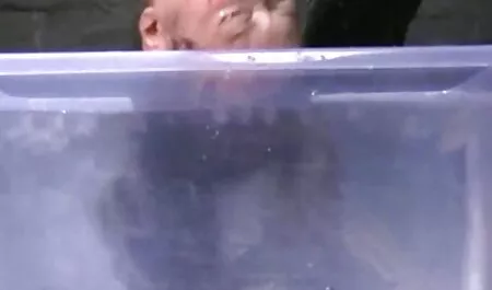 Judy infla su bolso peliculas porno clasico en español y se hunde como una perra