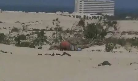 Bambi en peliculas x enteras la ducha caliente