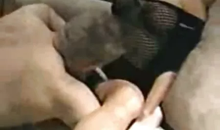 Jasminne free xxx en español