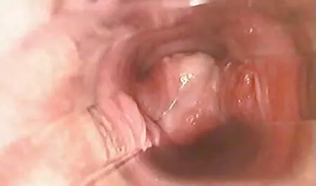 Chanel xvideos español peliculas dedos de su clítoris y dar culo