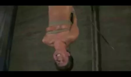 Chicas jóvenes tienen un trío con un caballo peliculas coomelonitas macho